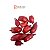 Fava Amor - Imagem 2