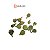 Fava da Prosperidade - Imagem 1