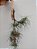 Tillandsia tenuifolia - Imagem 3