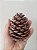 20 Pinhas Naturais - Imagem 4