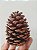20 Pinhas Naturais - Imagem 3