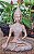 Buda Tibetano 23 cm - Imagem 2
