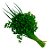 Cheiro Verde Orgânico (Maço) - Imagem 1