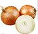 Cebola (01kg) - Imagem 1