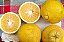 Laranja Champanhe (1kg) - Imagem 1