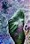 Elefante - Imagem 4