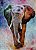 Elefante - Imagem 1