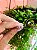 Brinco Redondo Ametista Pequeno Prata 925 estilo indiano - Imagem 2