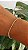 Pulseira Peridoto Verde com Acabamento Prata 925 - Imagem 2