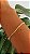 Pulseira Apatita Amarela fecho prata 925 - Imagem 3