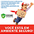 Aquecedor De Aquario e Termostato Automático Xilong de 300w com Régua de Temperatura Acoplada - Imagem 8