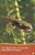 from tadpole to frog - Imagem 2