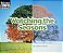watching the seasons - Imagem 1