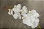 ORQUIDEA SILICONE TOQUE REAL BRANCA X9 110CM FLOR ARTIFICIAL 12941B - Imagem 1