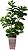 PLANTA ARTIFICIAL FICUS LYRATA SILICONE 4 HASTES 150CM 128198 - Imagem 1