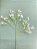 FLOR ARTIFICIAL HASTE GIPSO GIPSOFILA MOSQUITINHO 67CM BRANCO 7701 - Imagem 2