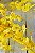 ORQUIDEA CHUVA DE OURO 96CM 128191 - Imagem 3