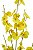 ORQUIDEA CHUVA DE OURO 96CM 128191 - Imagem 4