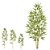 ARVORE BAMBU TOQUE REAL VERDE 1,5M 11896 - Imagem 1