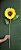 Girassol Aveludado 65CM 128558 - Imagem 2