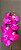 ORQUIDEA SILICONE TOQUE REAL 75CM FÚCSIA 128671 - Imagem 3