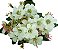 FLORES ARTIFICIAIS MINI MARGARIDAS 15 BOTÕES 27CM 128169 - Imagem 2