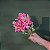 BUQUE MINI LIRIO 37CM ROSA PINK 128682 - Imagem 1