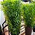 HASTE BAMBU VERDE  150CM 128488 - Imagem 3