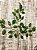 GALHO FICUS ARTIFICIAL SILICONE TOQUE REAL 61CM 128201 - Imagem 4