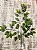 GALHO FICUS ARTIFICIAL SILICONE TOQUE REAL 61CM 128201 - Imagem 9