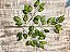 GALHO FICUS ARTIFICIAL SILICONE TOQUE REAL 61CM 128201 - Imagem 7