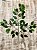 GALHO FICUS ARTIFICIAL SILICONE TOQUE REAL 61CM 128201 - Imagem 8