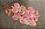 ORQUIDEA SILICONE TOQUE REAL ROSA CLARO X9 110CM 12941RC - Imagem 1