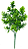 PLANTA ARTIFICIAL FOLHAGEM VERDE 35CM 128864 - Imagem 1