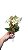 LIRIO FLOR ARTIFICIAL BRANCO 20CM 129071 - Imagem 2
