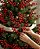 HASTE DE NATAL 44CM AZEVINHA BERRIE VERMELHA 129241 - Imagem 2
