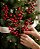 HASTE DE NATAL 44CM AZEVINHA BERRIE VERMELHA 129241 - Imagem 1