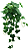 PLANTA ARTIFICIAL PENDENTE FOLHAGEM HERA INGLESA 64CM 13867 - Imagem 1
