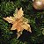 FLOR DE NATAL POINSETIA DOURADA CETIM E RENDA 20CM 9975D - Imagem 2