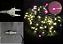 PISCA LED 20M 200 LEDS BRANCO QUENTE 110V USO EXTERNO 129438 - Imagem 1