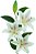 LIRIO EM SILICONE TOQUE REAL 3D 100CM 129698 - Imagem 5