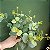 BUQUE DE EUCALIPTO VERDE FOSCO 50CM X15 PLANTA ARTIFICIAL 129731 - Imagem 2