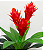 BROMÉLIA PLANTA ARTIFICIAL 80CM 129740 - Imagem 2
