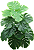 COSTELA DE ADÃO PLANTA ARTIFICIAL 80CM 128919 - Imagem 1