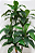 DRACENA PLANTA ARTIFICIAL ARBUSTO X3 160CM 129739 - Imagem 2
