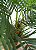PALMEIRA FENIX PLANTA ARTIFICIAL X15 155CM - Imagem 4