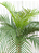 PALMEIRA FENIX PLANTA ARTIFICIAL X15 155CM - Imagem 2