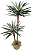 PLANTA DRACENA LUXO 125CM X2 129742 - Imagem 1