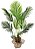 PLANTA PALMEIRA X12 120CM 129743 - Imagem 1