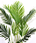 PLANTA PALMEIRA X12 120CM 129743 - Imagem 2